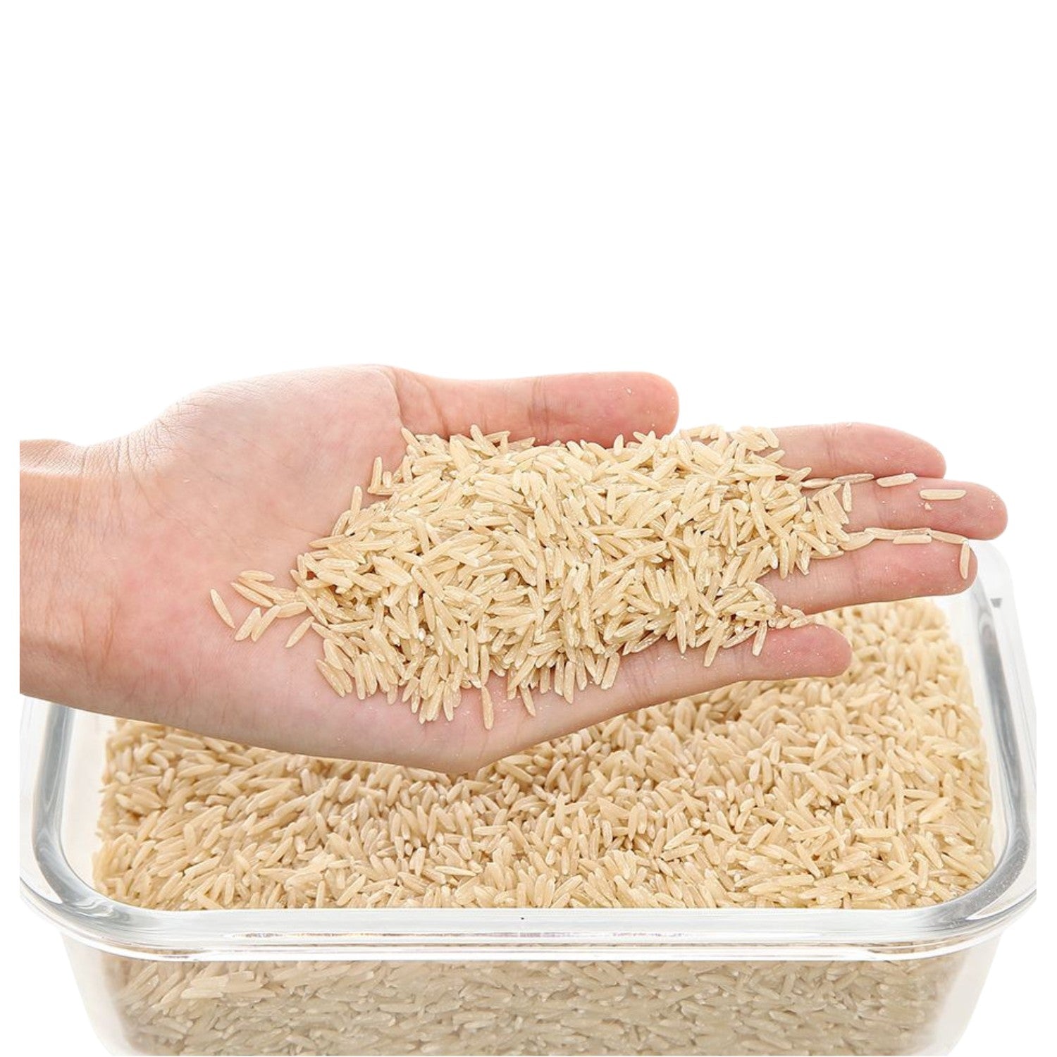 Brown  Rice