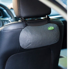 Car Deodorizer Bag