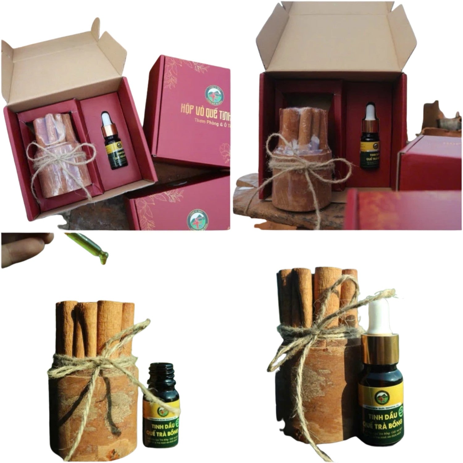 Cinnamon Bark Essential Oil  Box