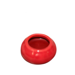Coconut Lip Balm