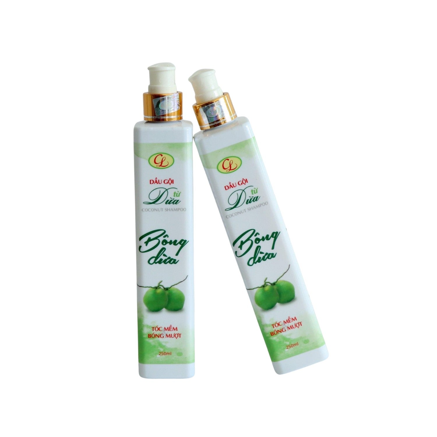 Coconut Shampoo