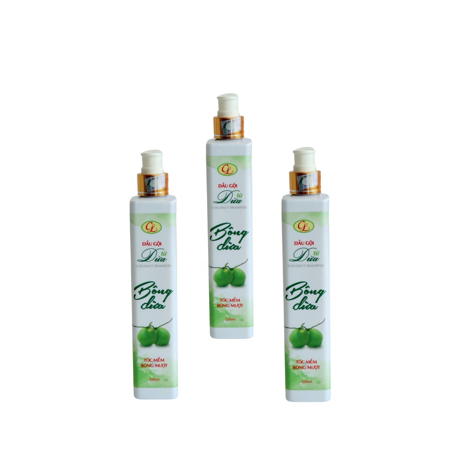 Coconut Shampoo
