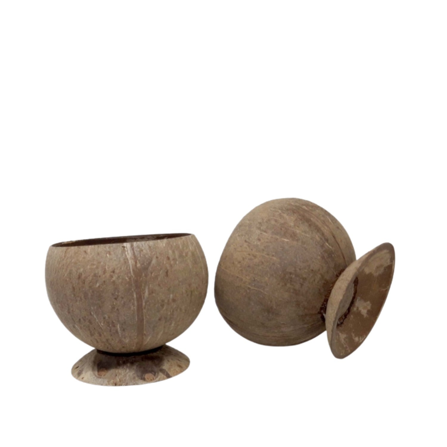 Coconut Shell Cup