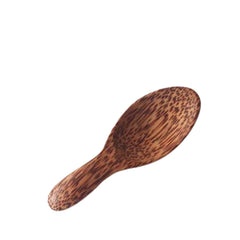 Coconut Wood Coffee Spoon