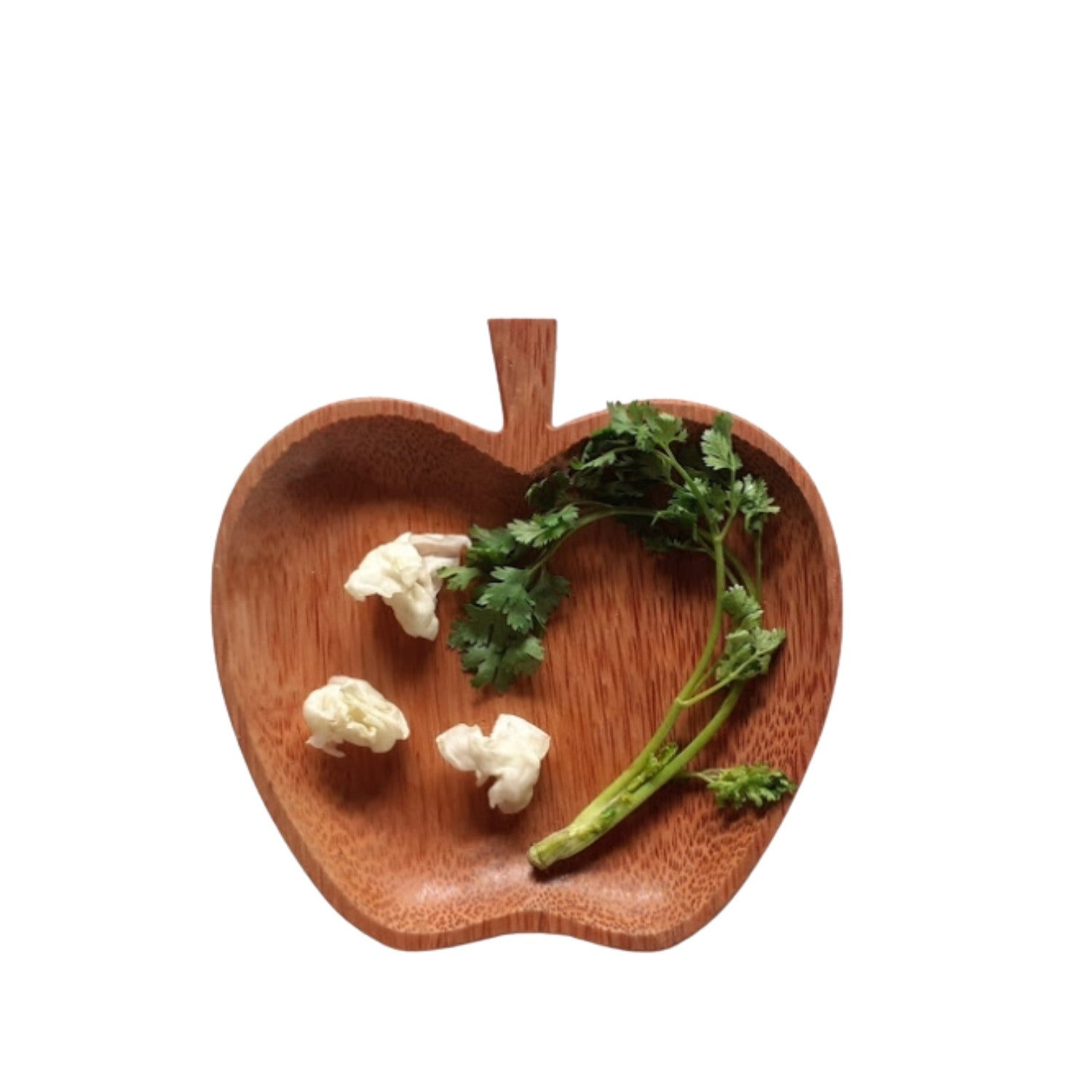 Coconut Wood Plate
