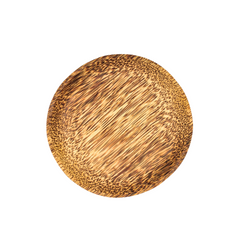Coconut Wood Round Plate
