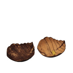 Coconut Wood Soap Dish