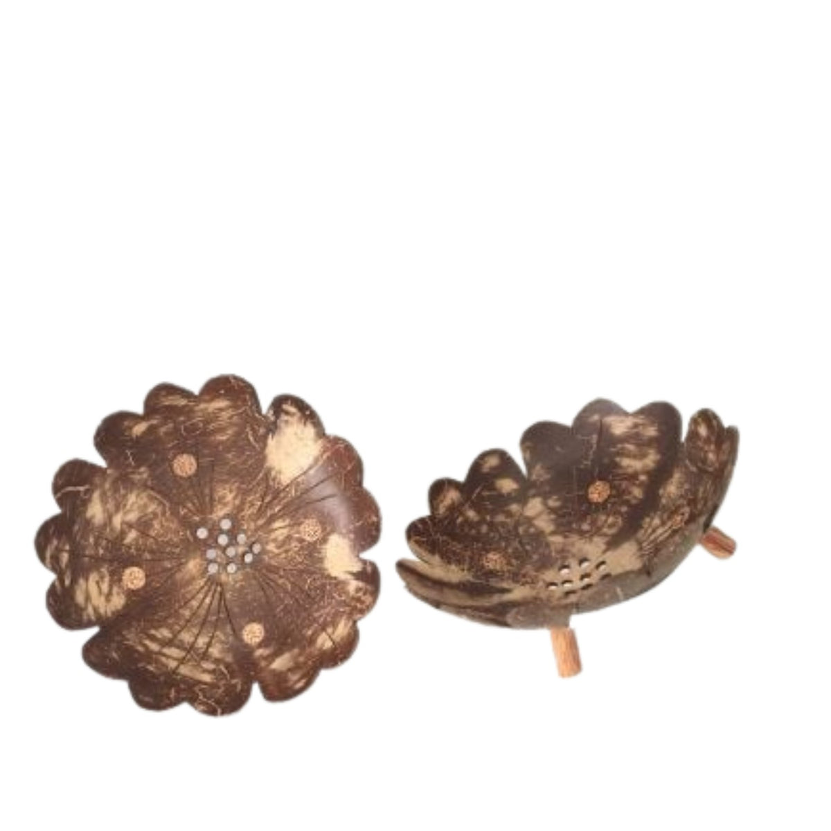 Coconut Wood Soap Dish