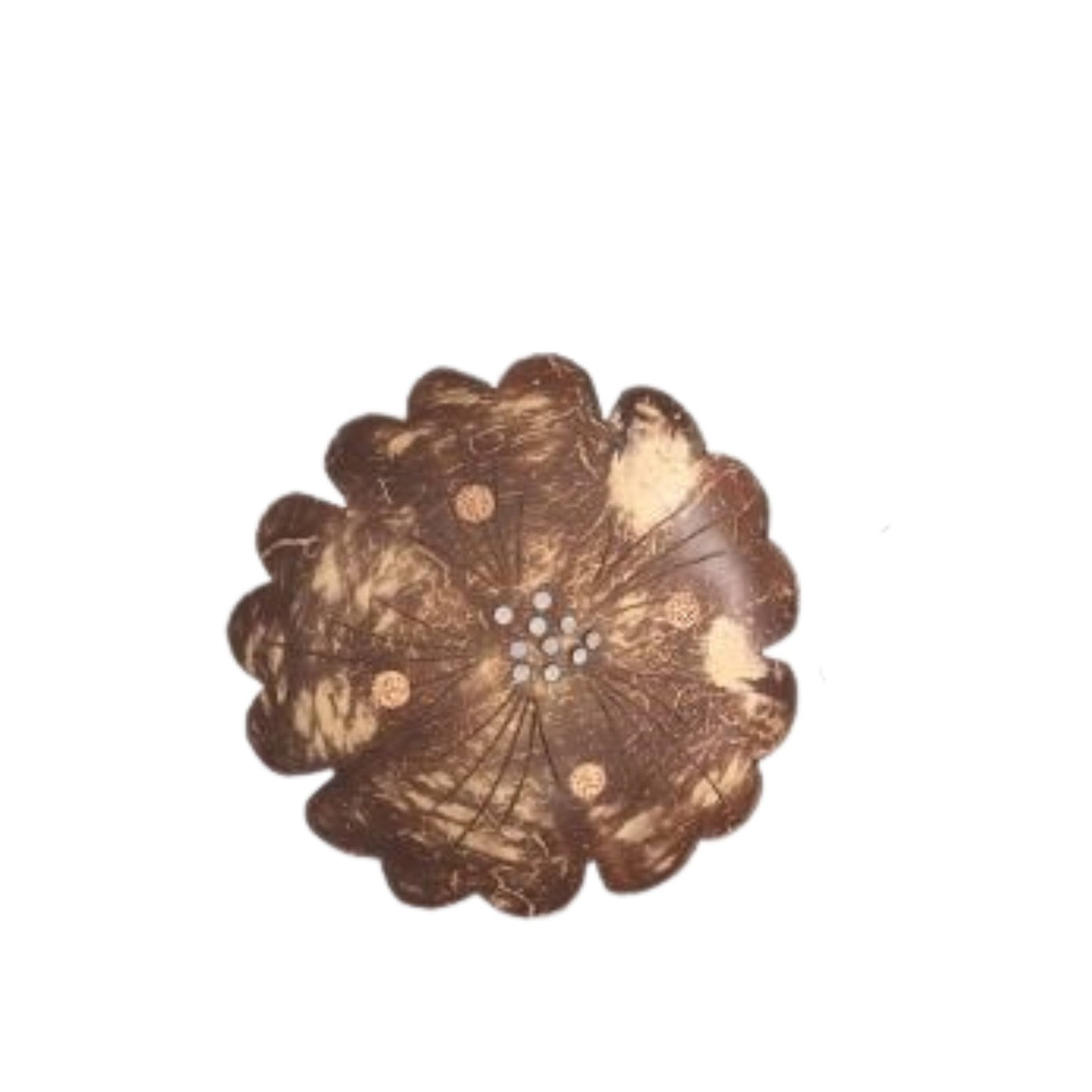 Coconut Wood Soap Dish