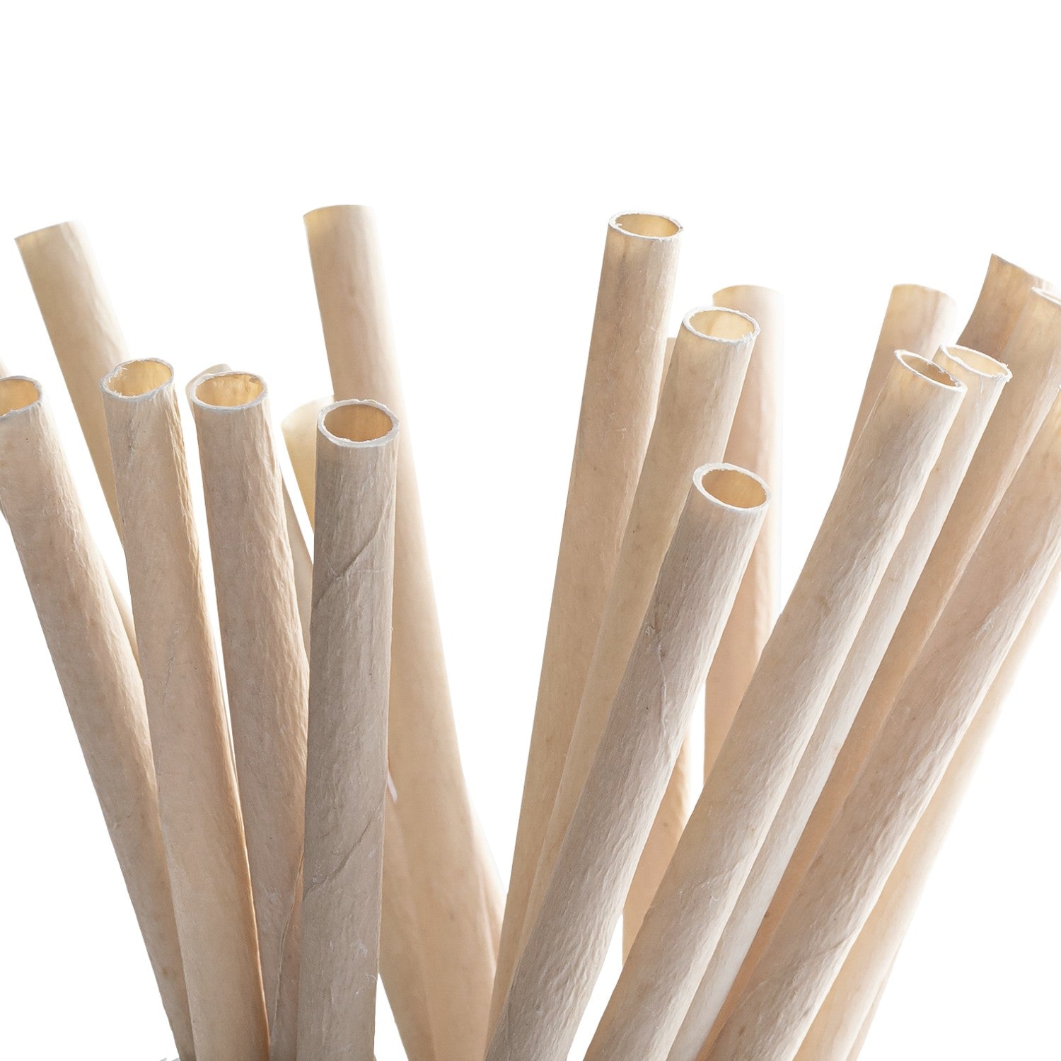 Coconut Straws