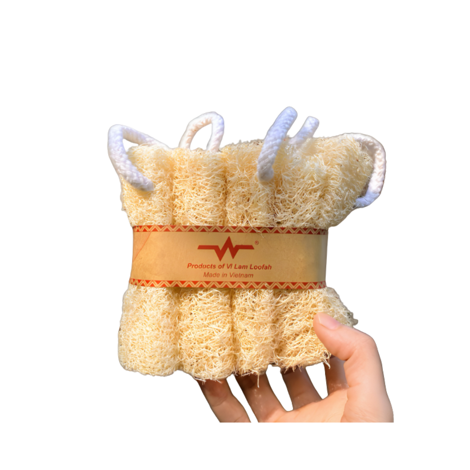 Combo Of 5 Loofah Pieces