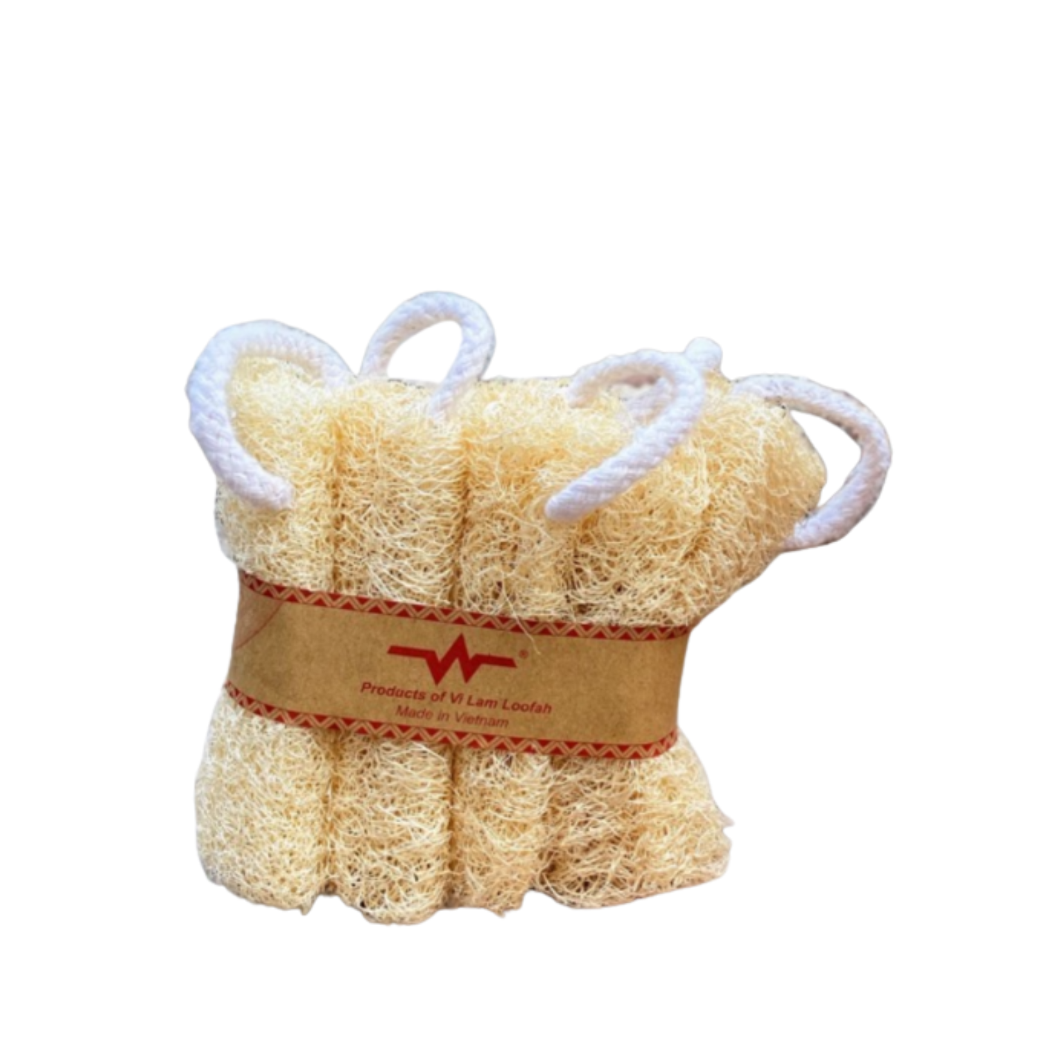 Combo Of 5 Loofah Pieces