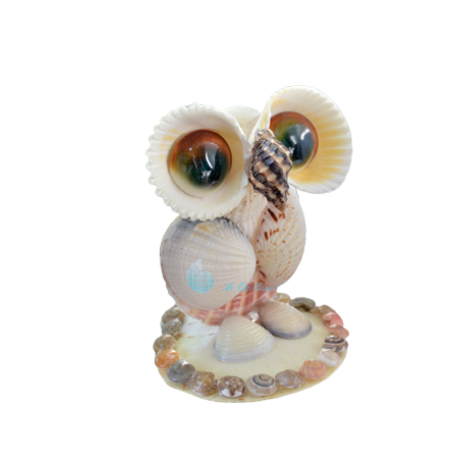 Cute Owl From Seashell