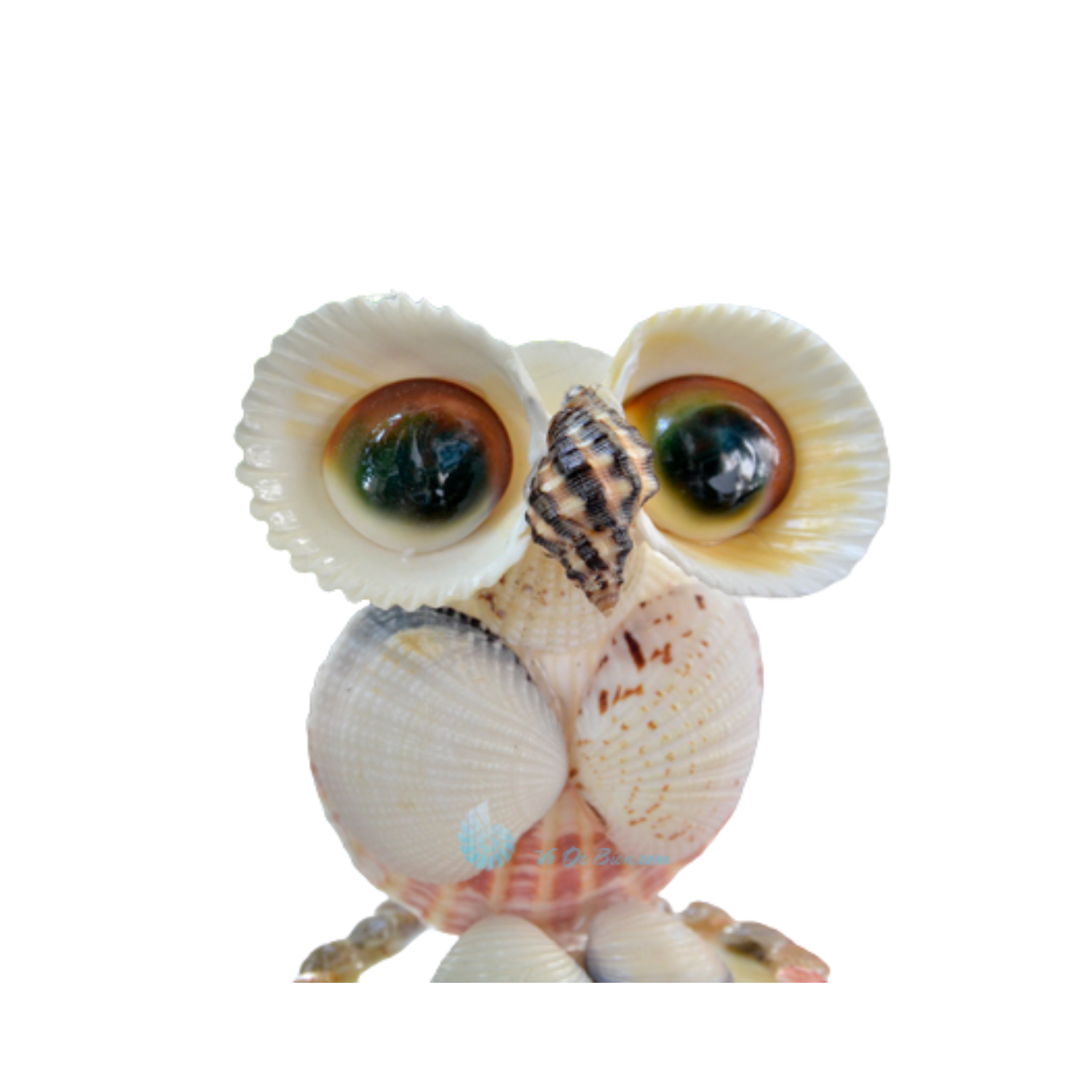 Cute Owl From Seashell