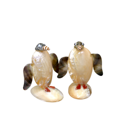 Cute Penguin From Seashell