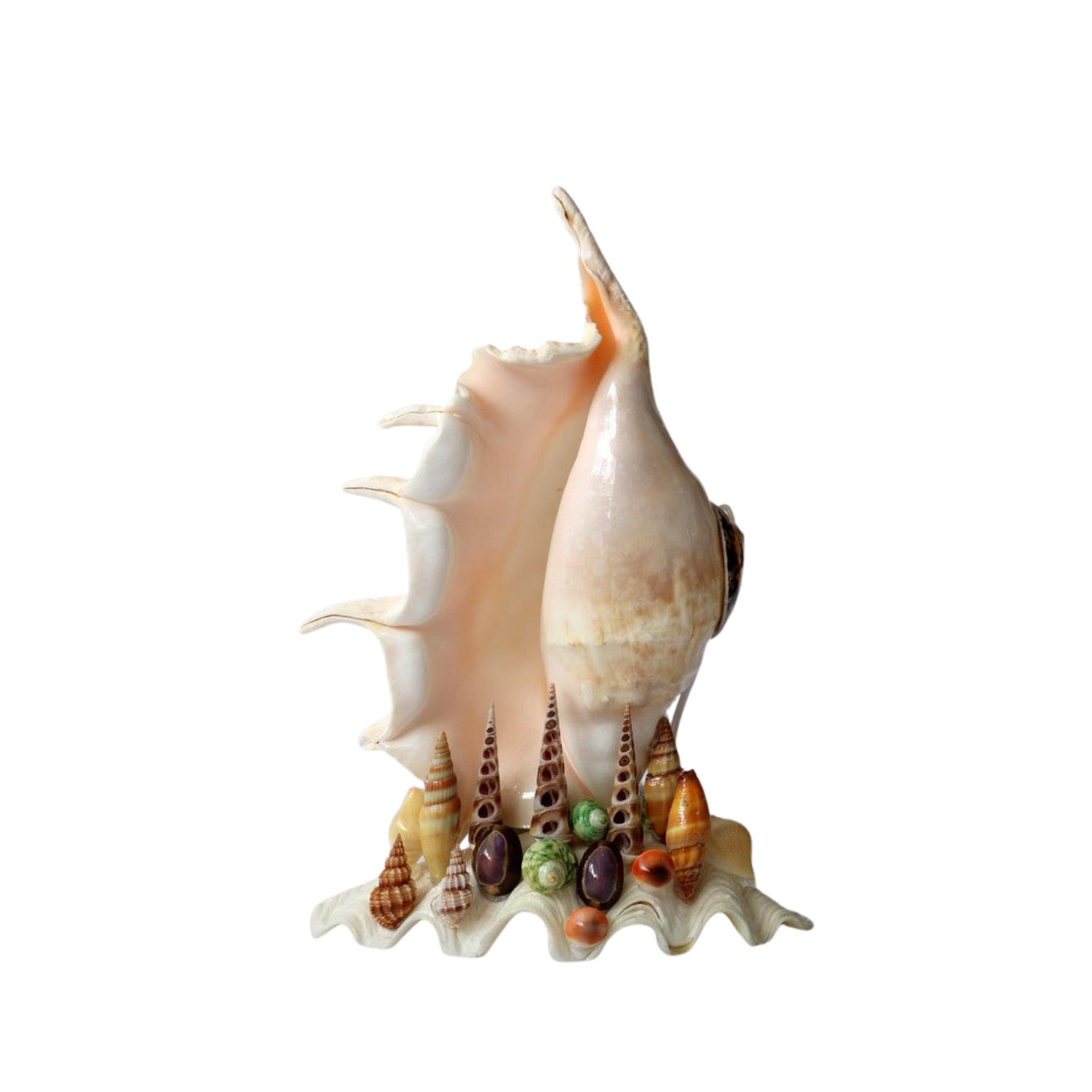 Decorative Lamps From Seashells 1