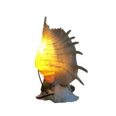 Decorative Lamps From Seashells 1