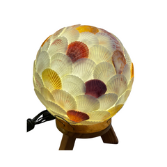 Decorative Lamps Made From Seashells