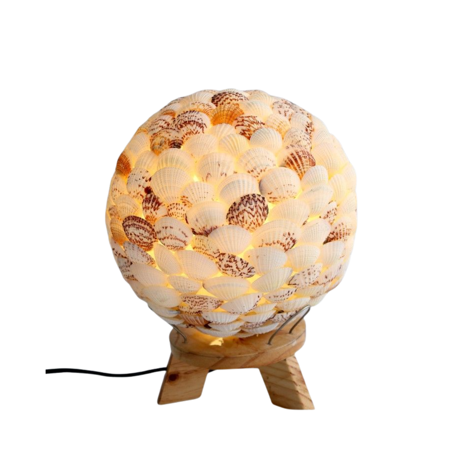 Decorative Lamps Made From Seashells