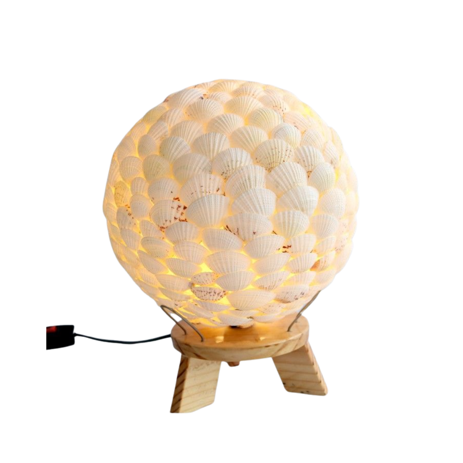 Decorative Lamps Made From Seashells