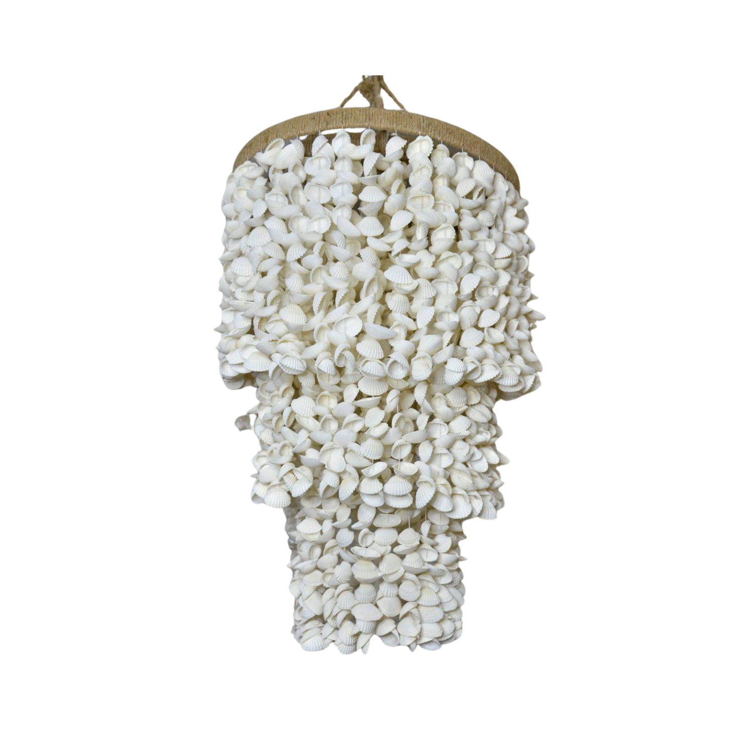 Decorative Seashell Lamps