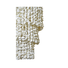 Decorative Seashell Lamps