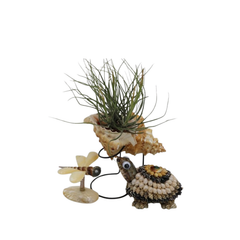 Decorative Turtle Made Of Seashell
