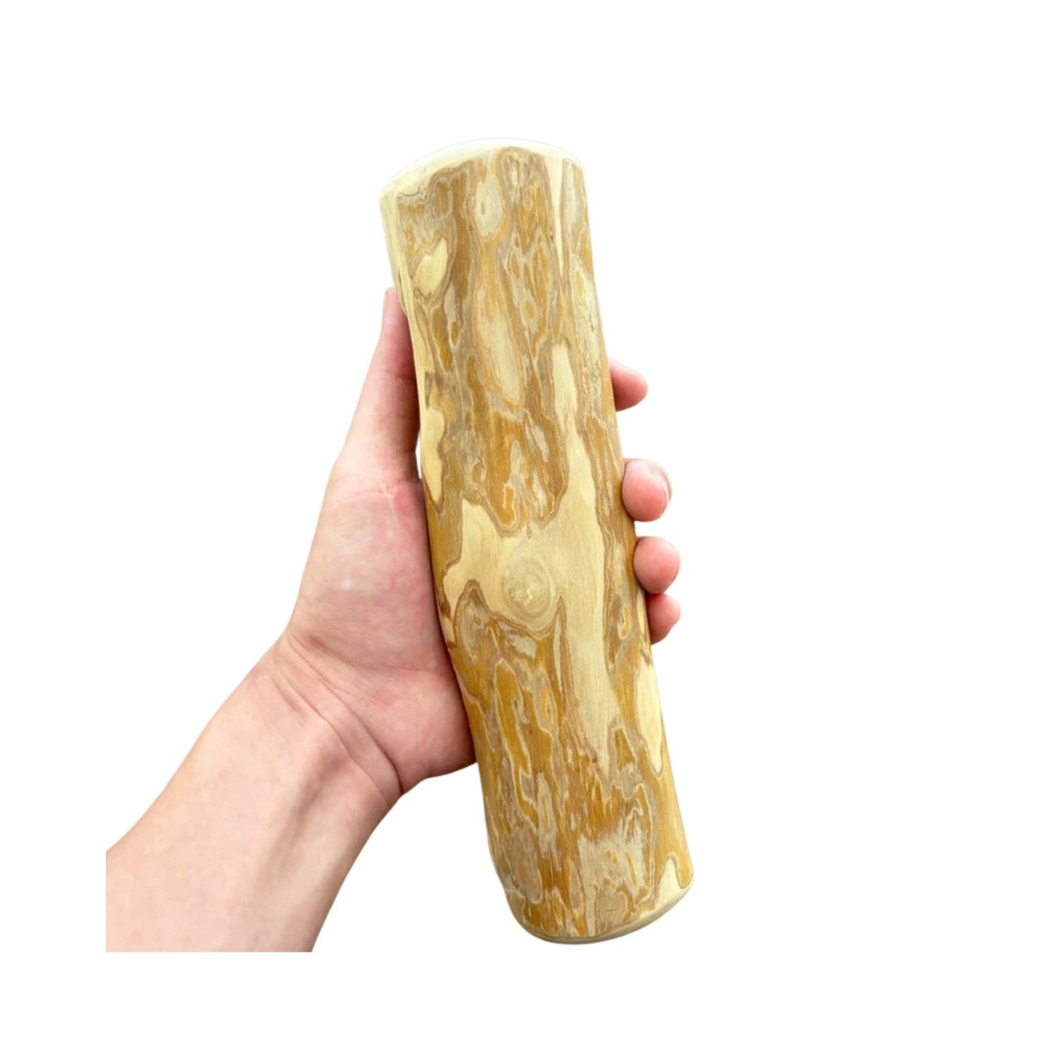 Dog Bone Toy