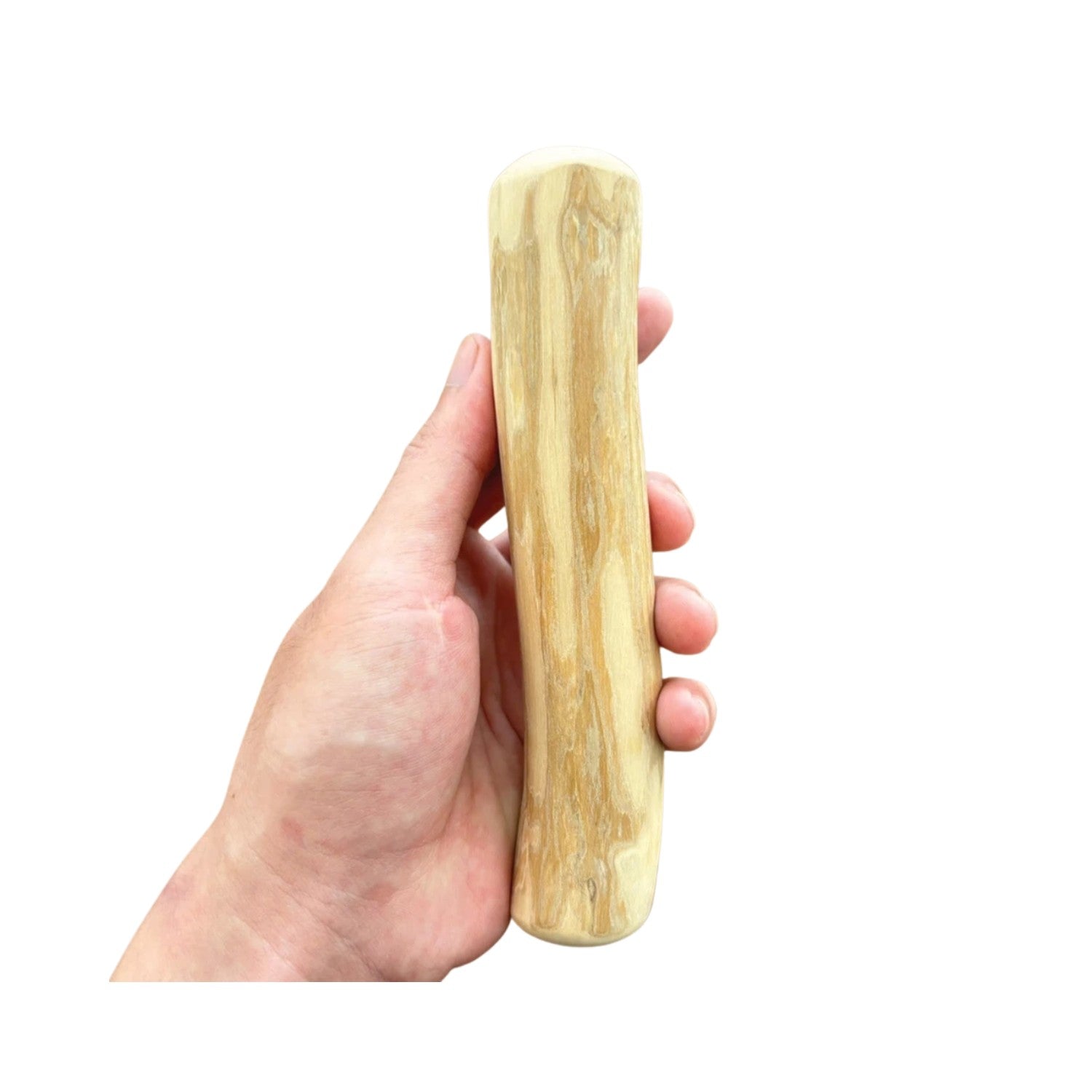 Dog Bone Toy