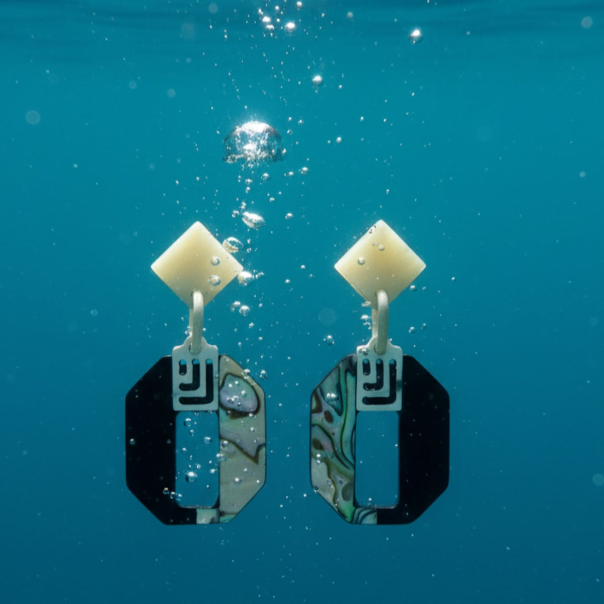 Elegant And Noble Lacquer Earrings 2