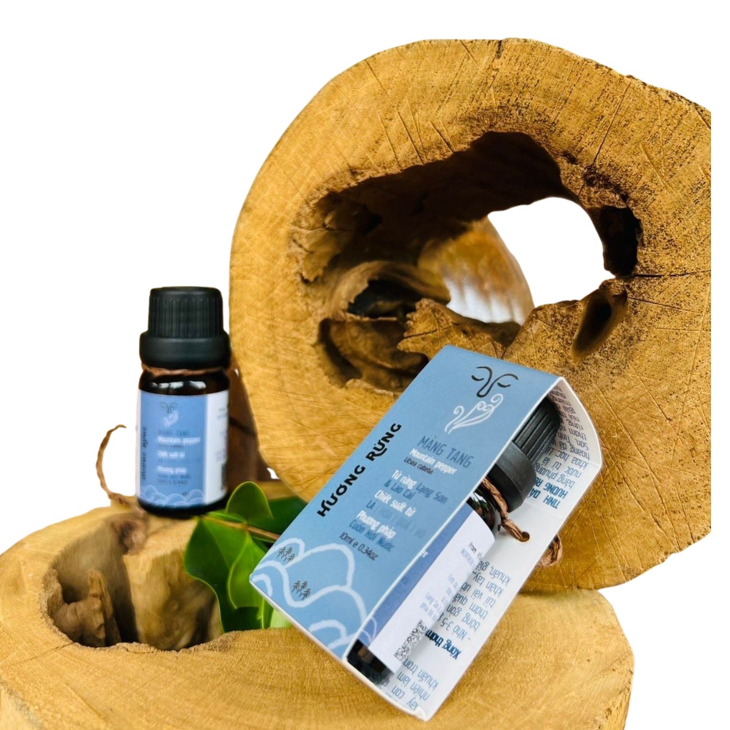 Essential Oil From Mang Tang Leaves