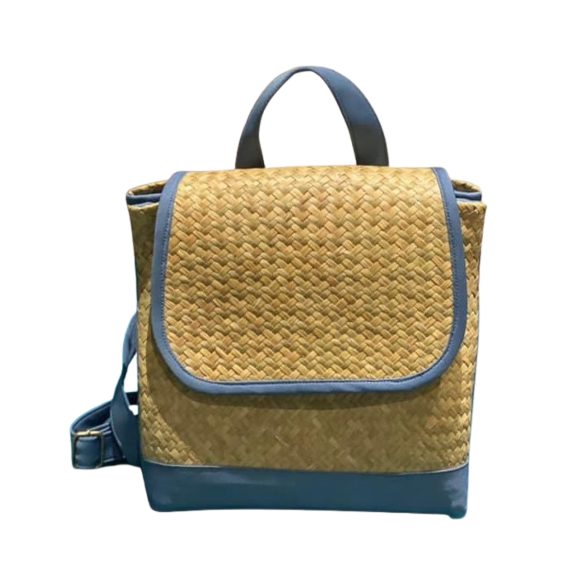 Fashionable Sedge Backpack