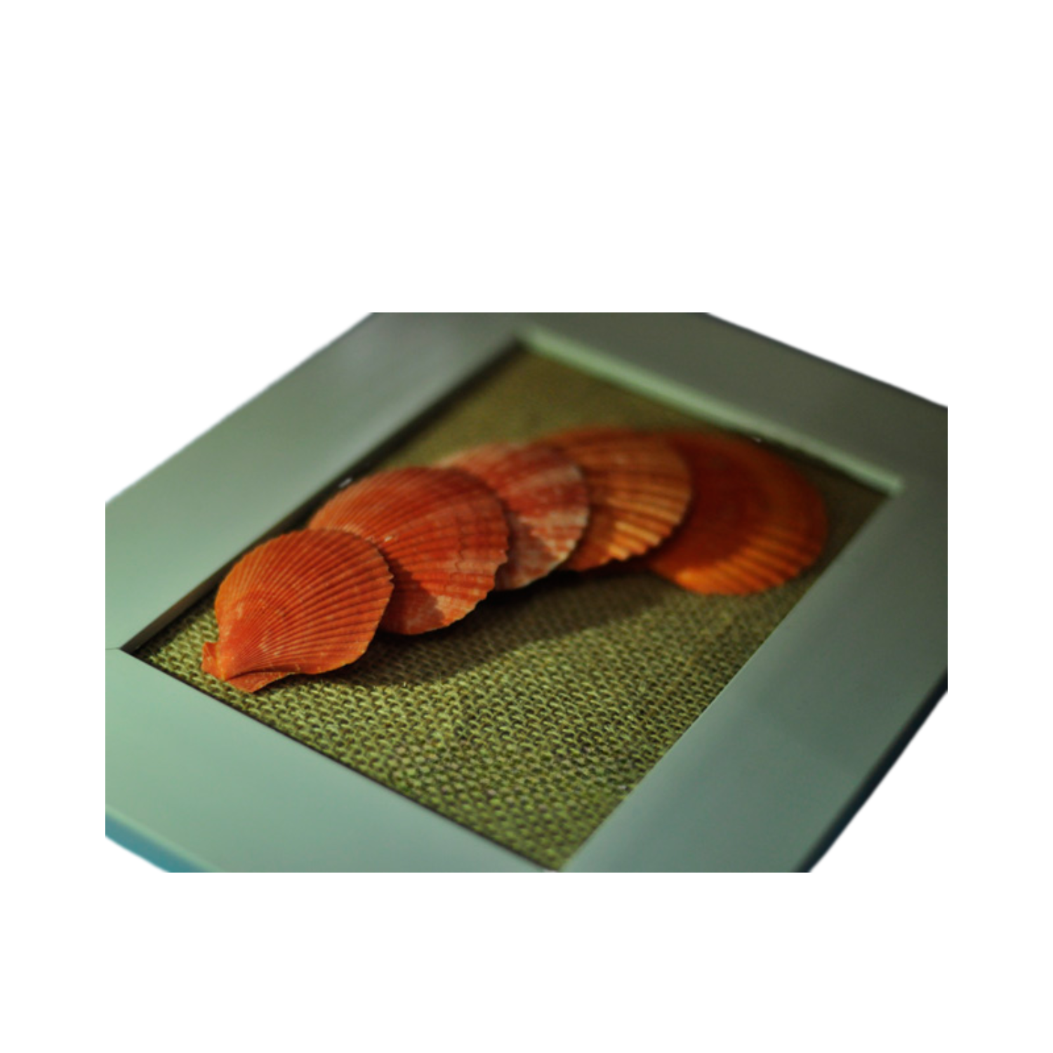 Five Orange Scallop Seashell Painting