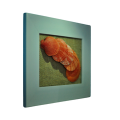 Five Orange Scallop Seashell Painting
