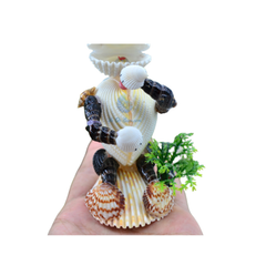 Frog Made From Seashells