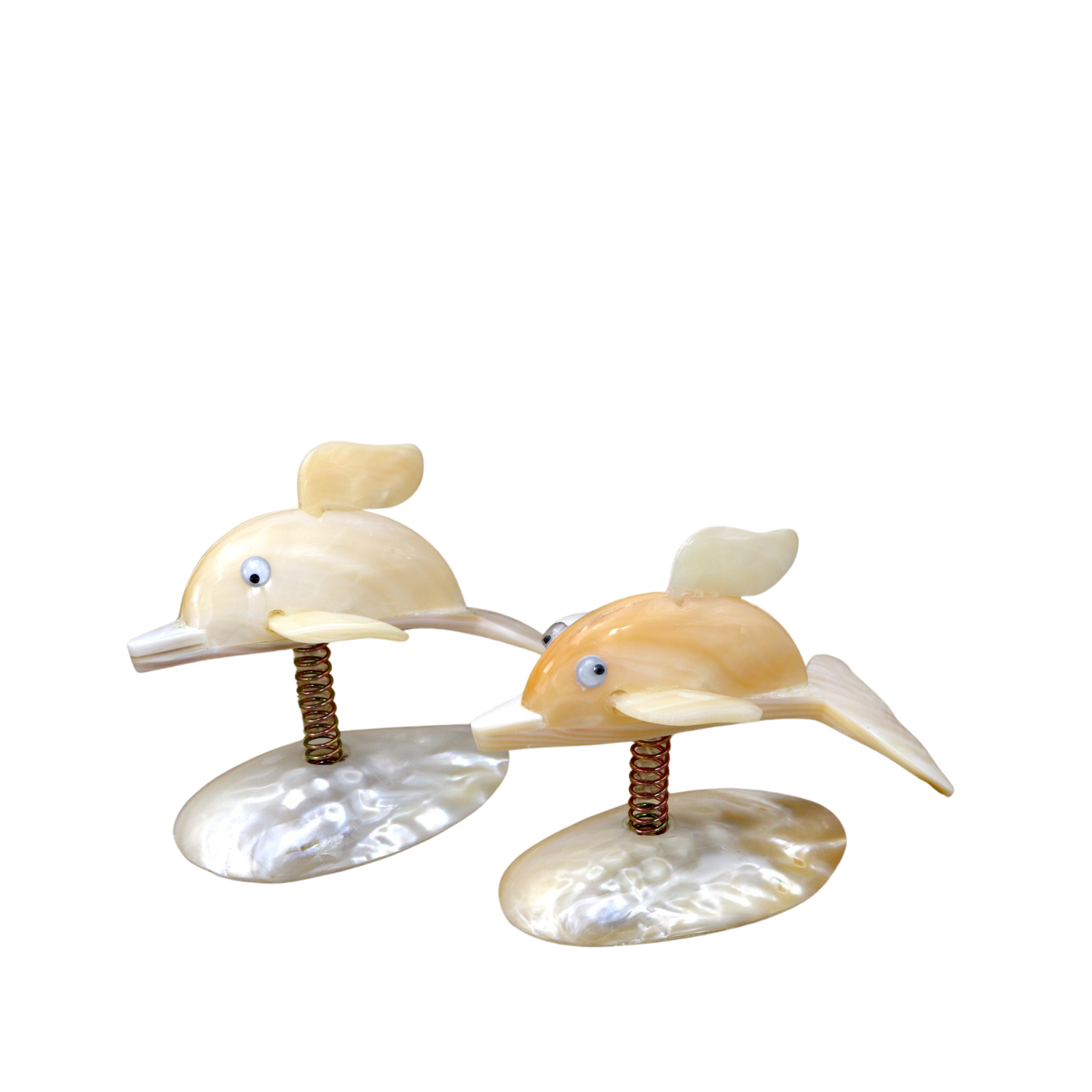Funny Dolphin From Seashell