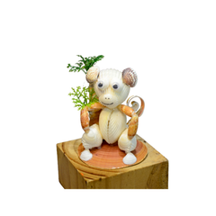 Funny Monkey From Seashell