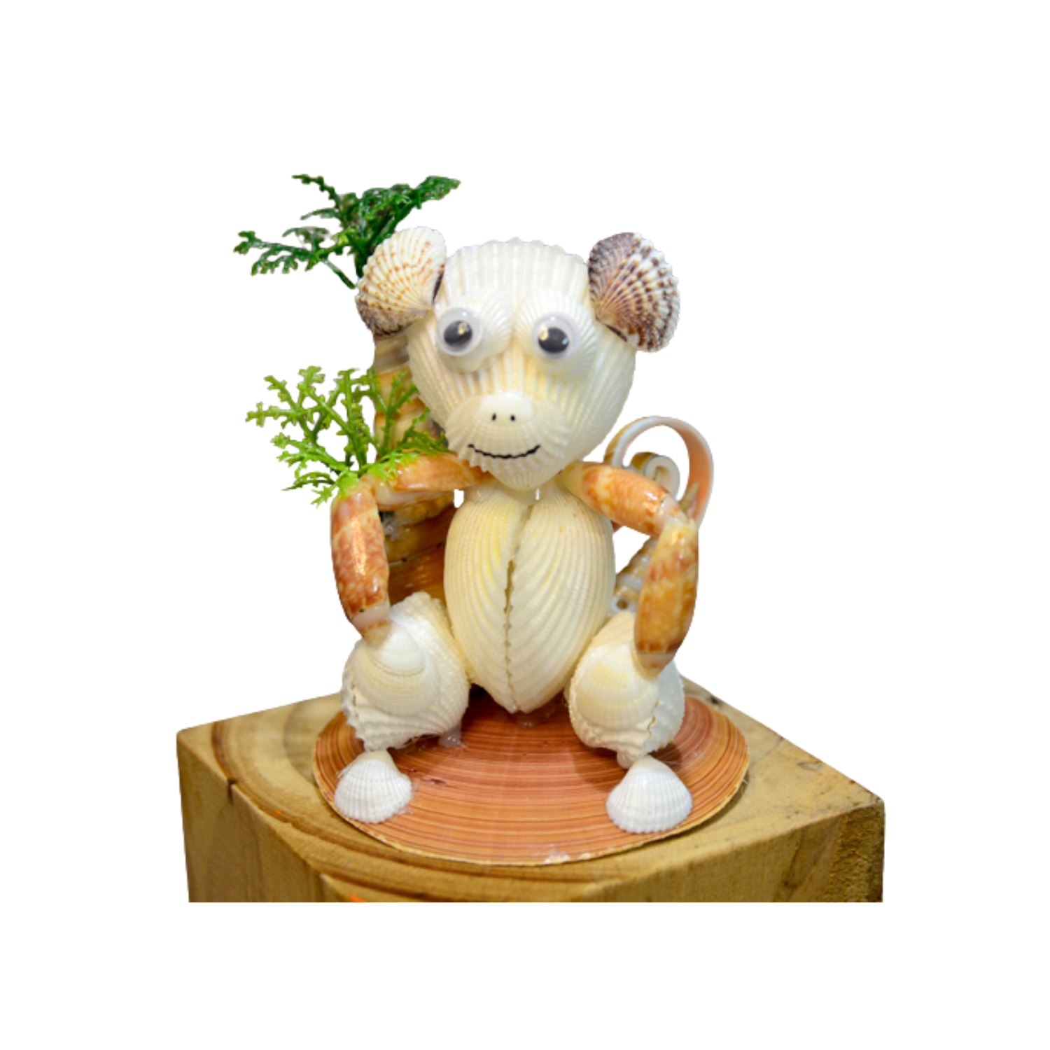 Funny Monkey From Seashell
