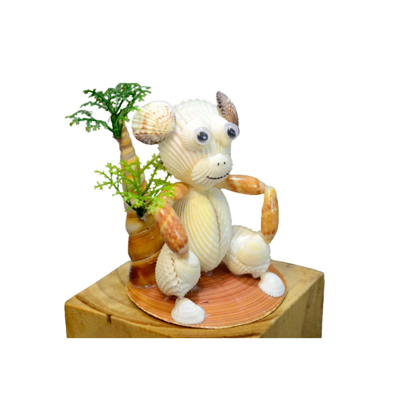 Funny Monkey From Seashell