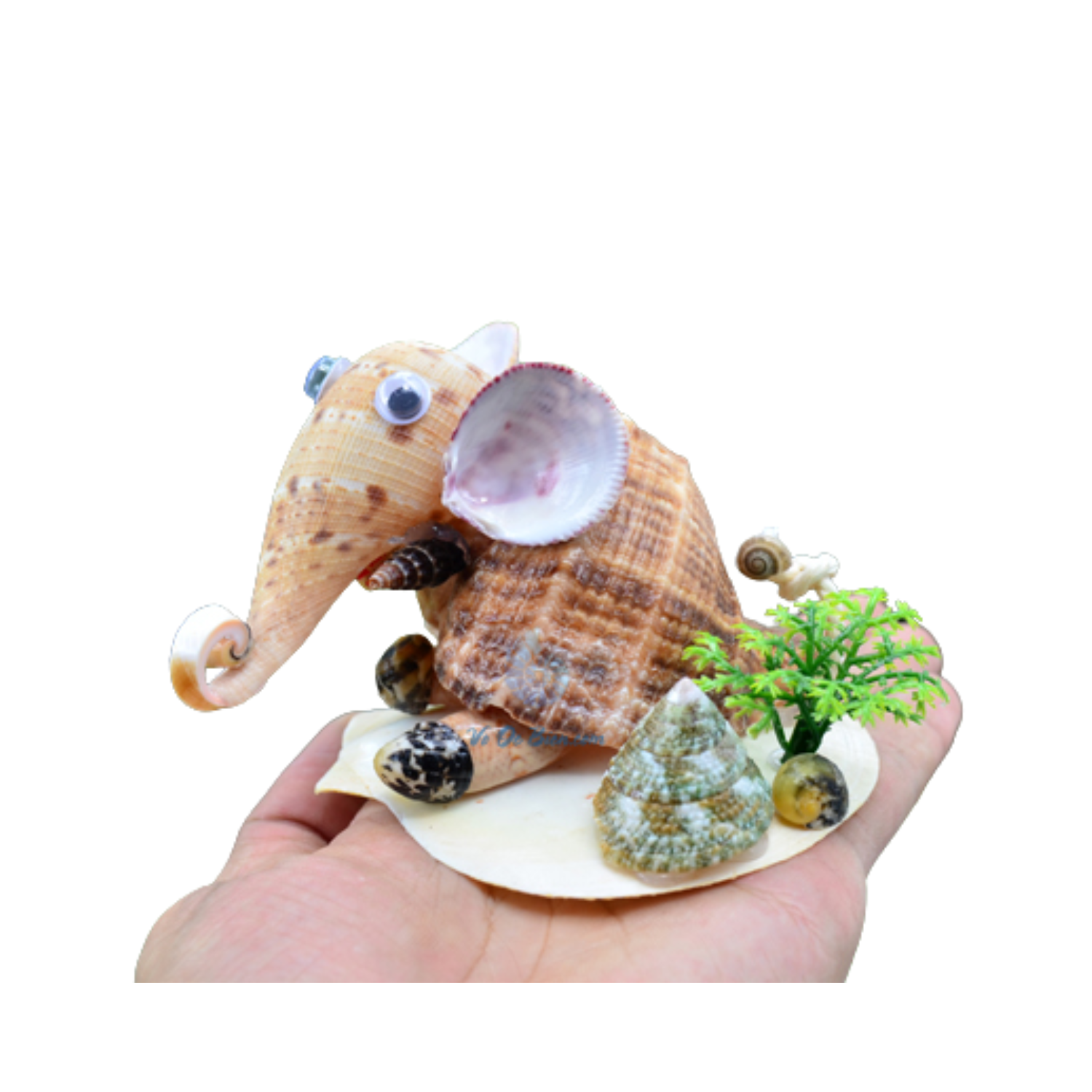 Funny Seashell Elephant