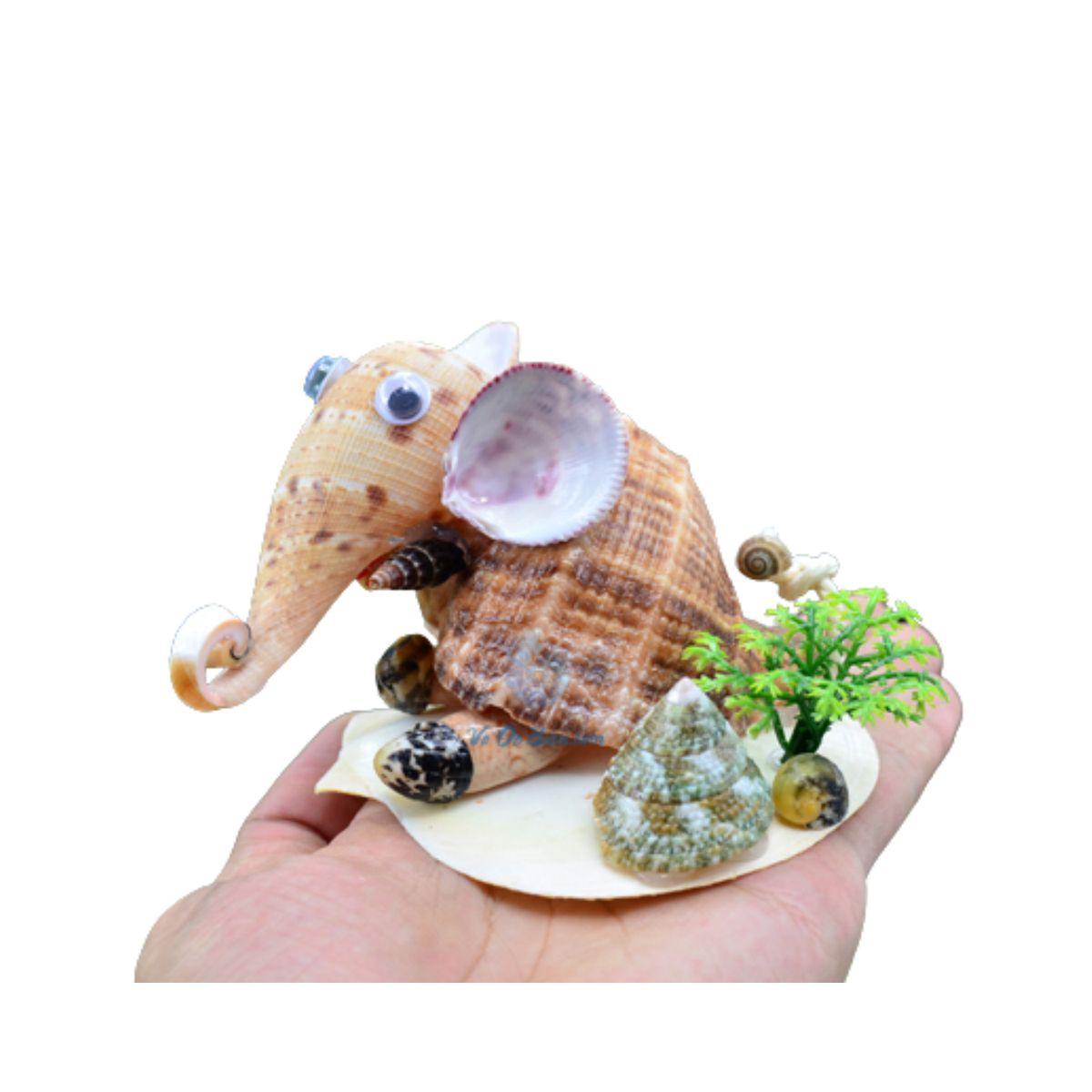 Funny Seashell Elephant
