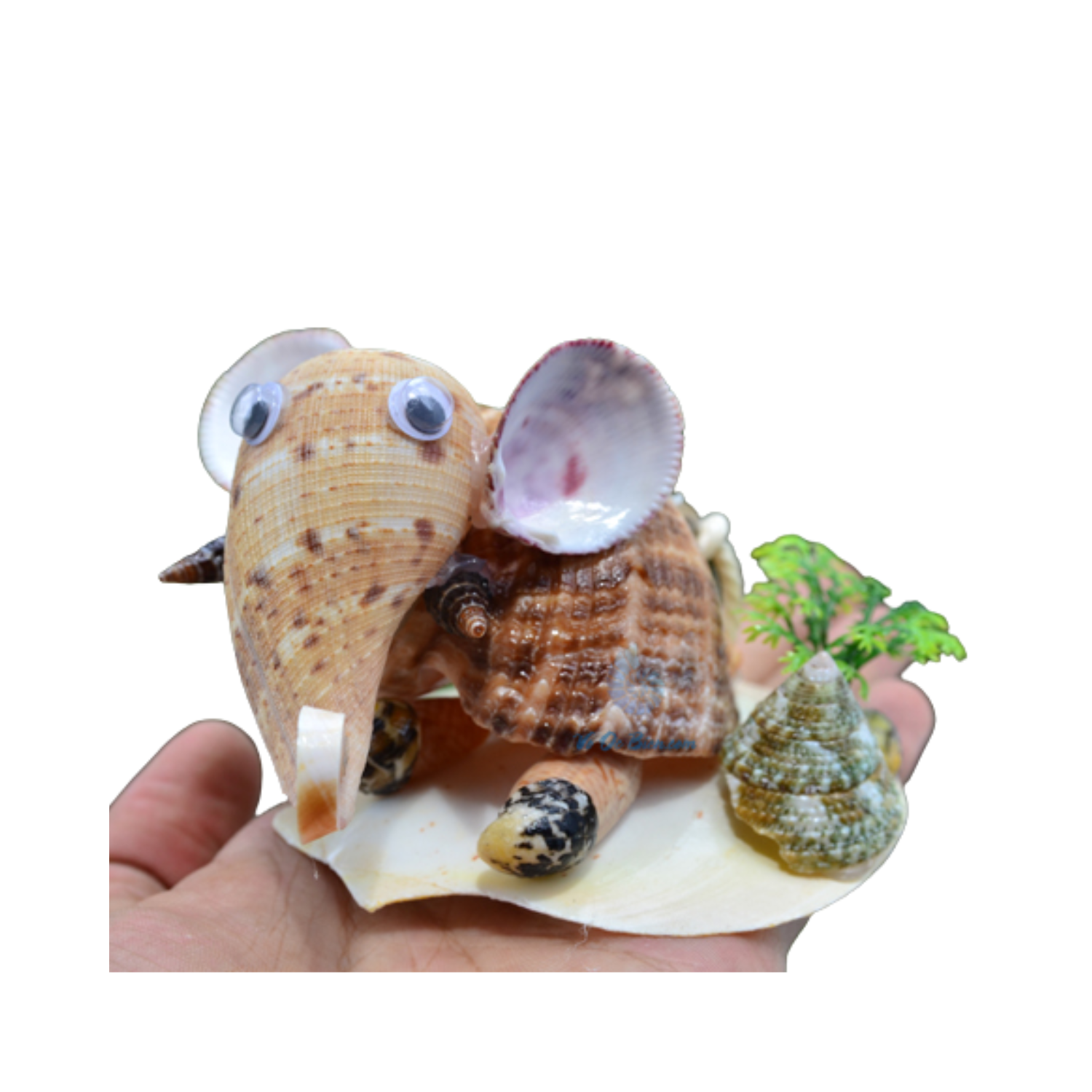 Funny Seashell Elephant