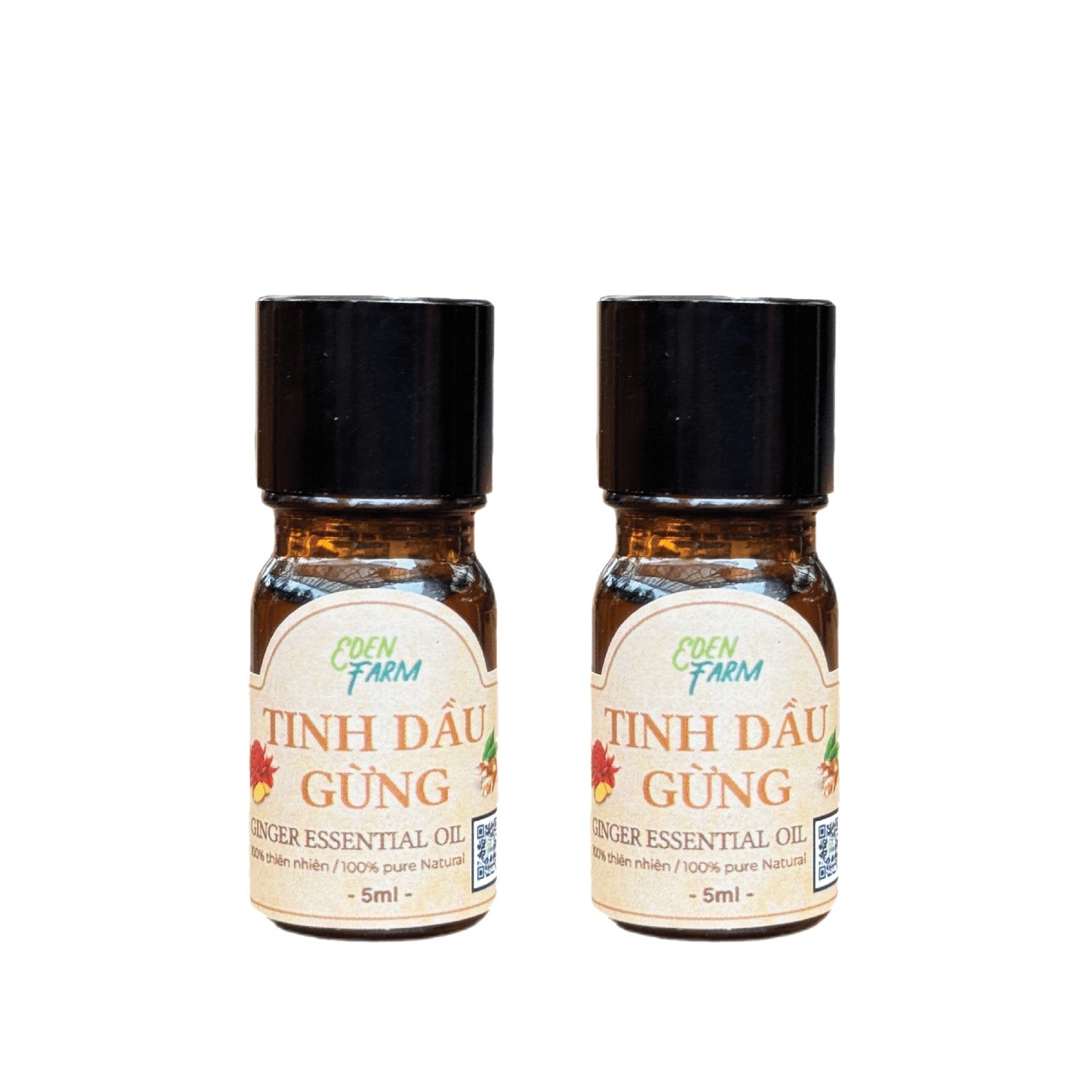 Ginger Essential Oil