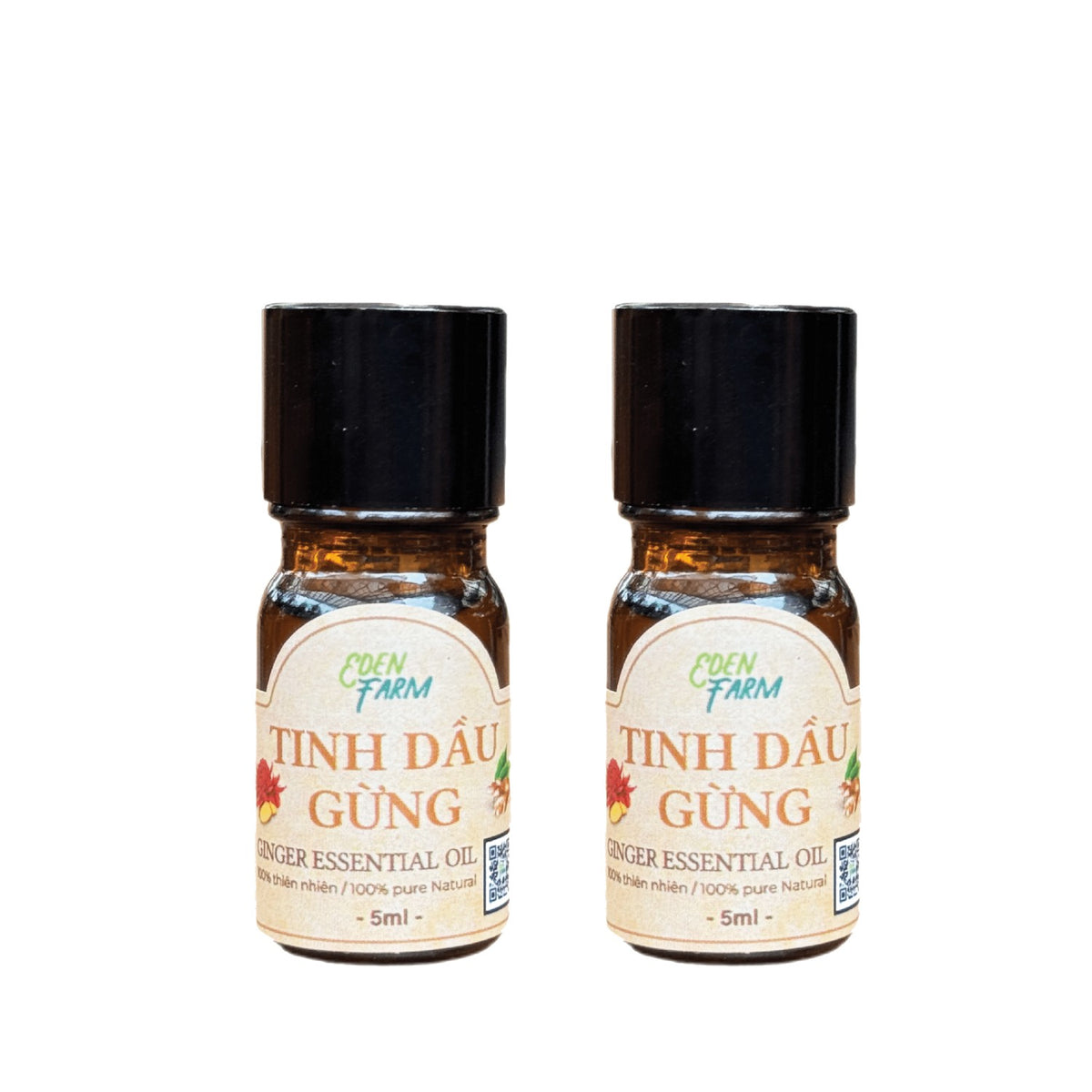 Ginger Essential Oil