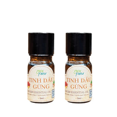 Ginger Essential Oil