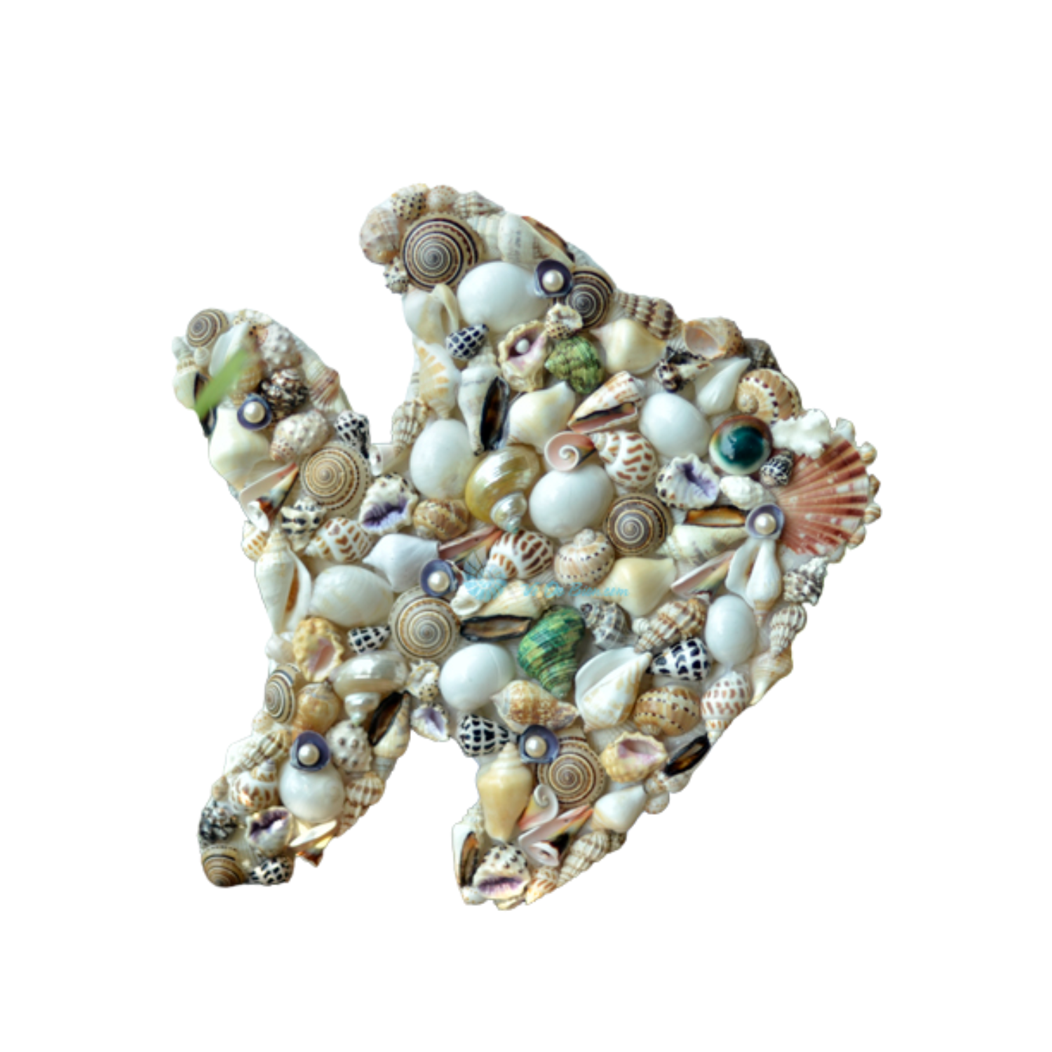 Goldfish Painting With Seashell