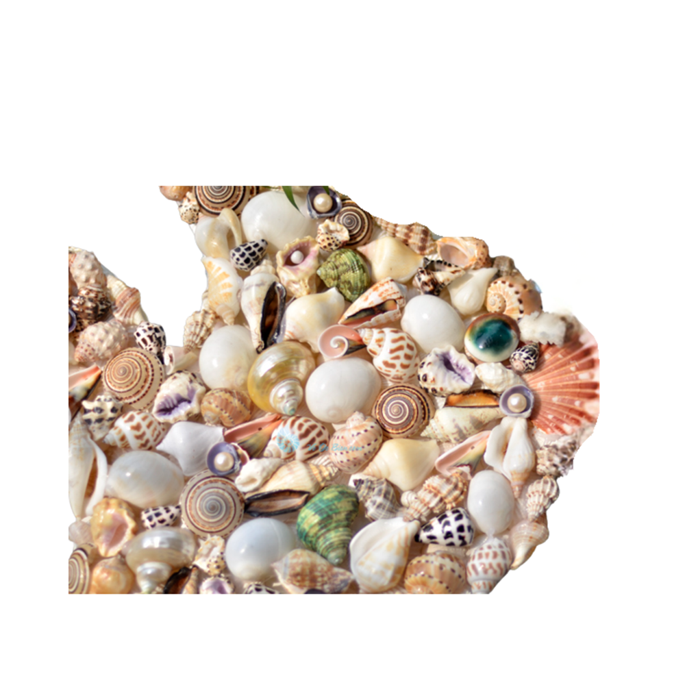 Goldfish Painting With Seashell