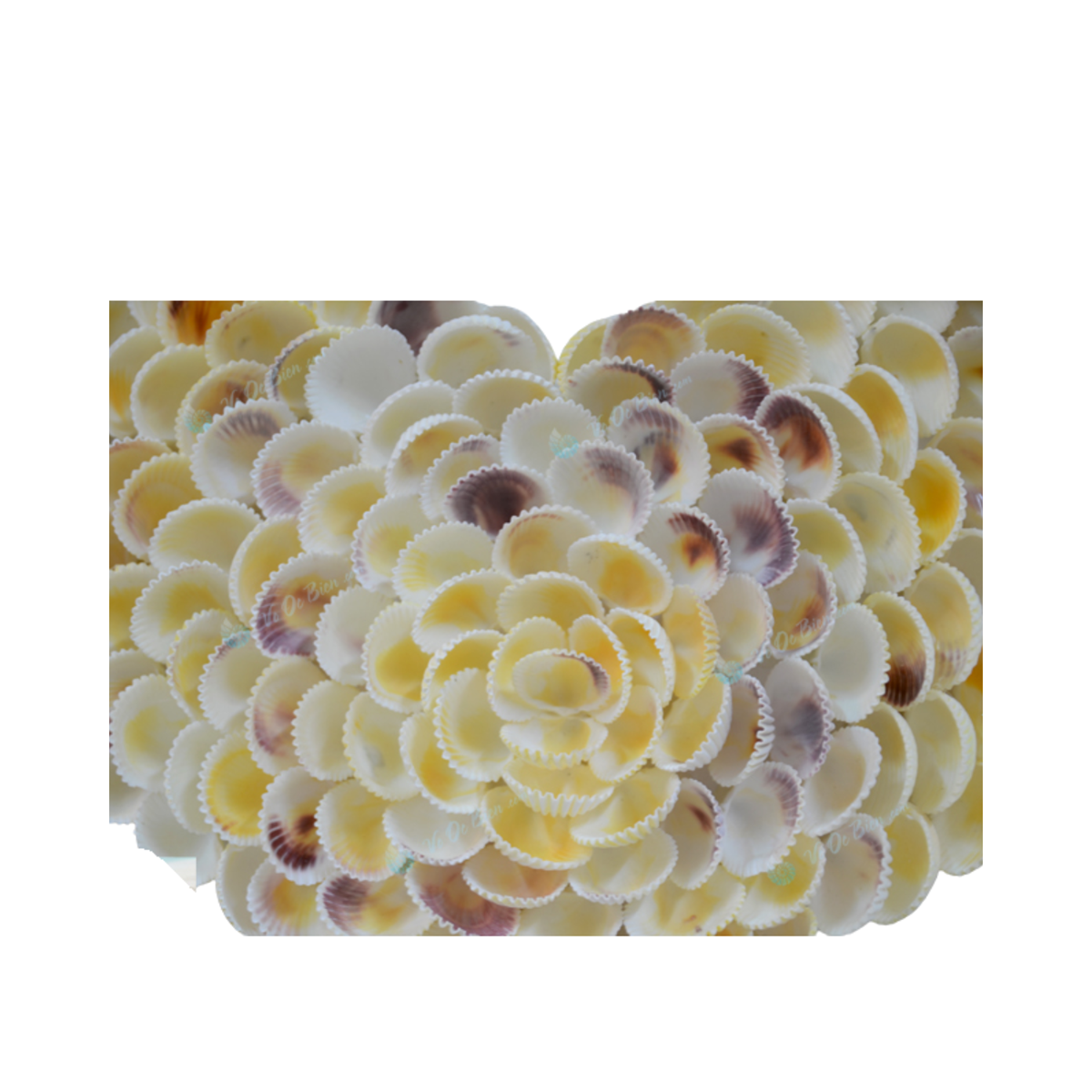 Heart Painting From Seashells