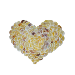 Heart Painting From Seashells