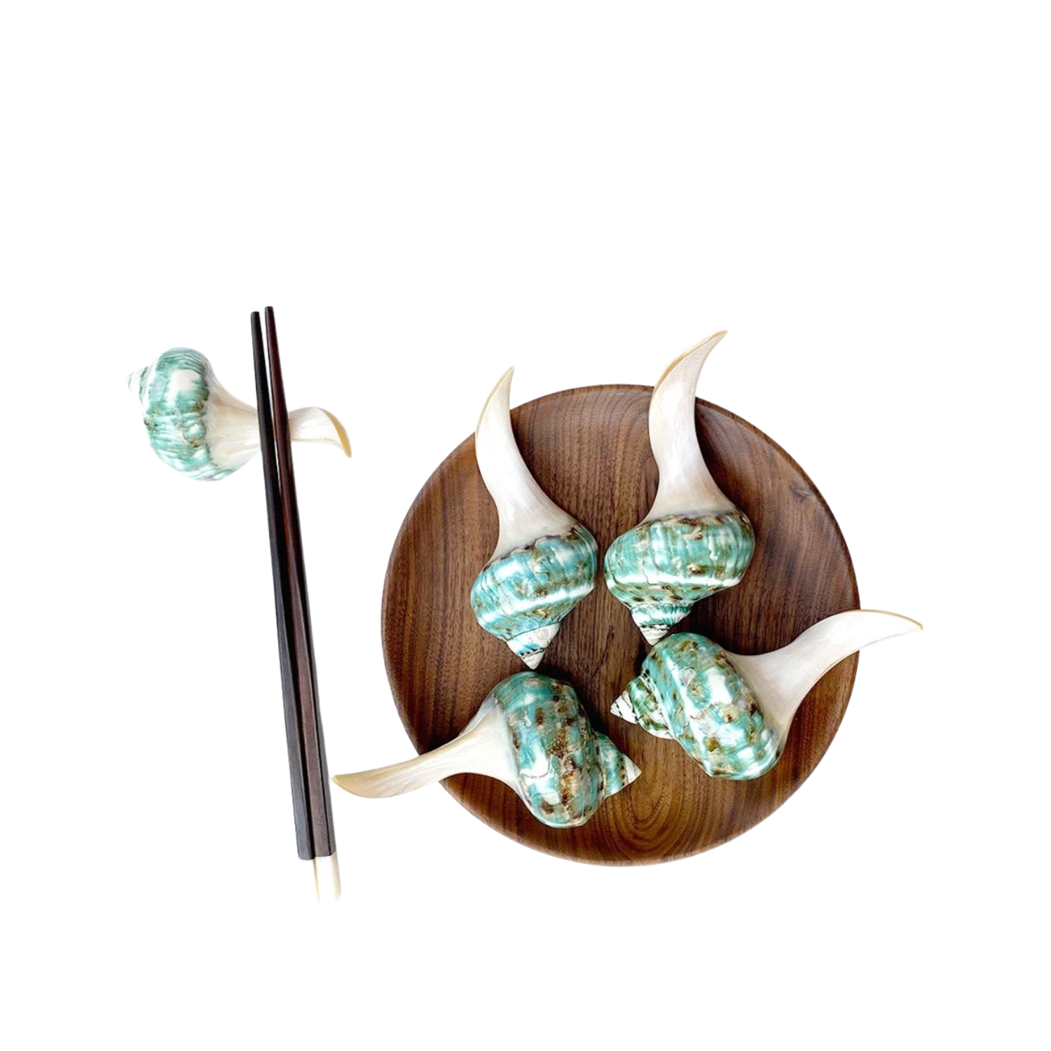 High-Class Seashell Chopstick Rest 4